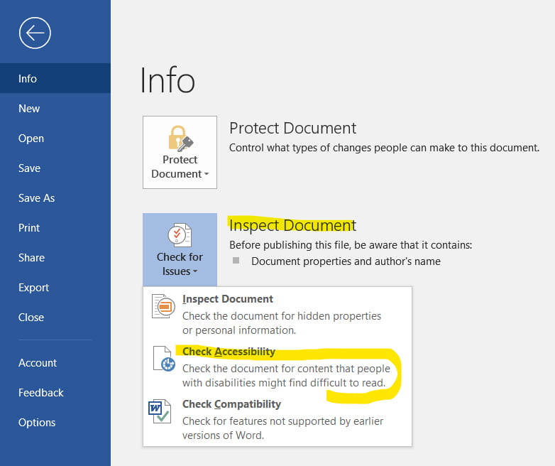 Choose "Inspect Document" and then "Check Accessibility."